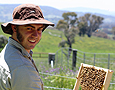 Natural Beekeeping Australia